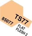 Tamiya Spray 100ML - TS77 (Flat Flesh 2)