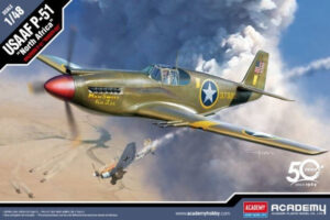 USAAF “United States Army Air Force” NAA North American P-51 MUSTANG "North Africa Theatre" Fighter aircraft